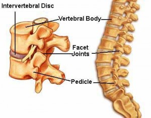 Boise Chiropractor